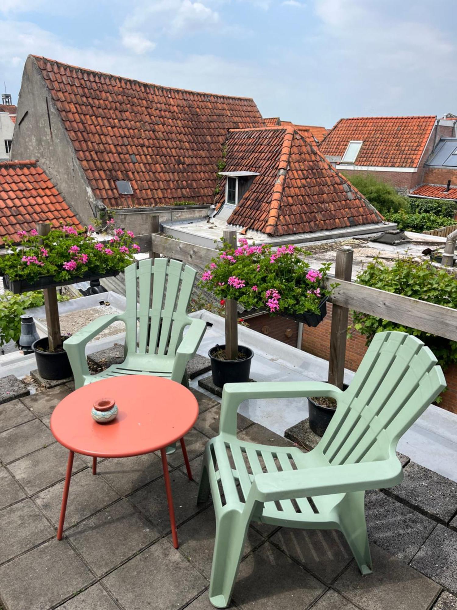 De Molen Bed & Breakfast Зиерикзее Екстериор снимка